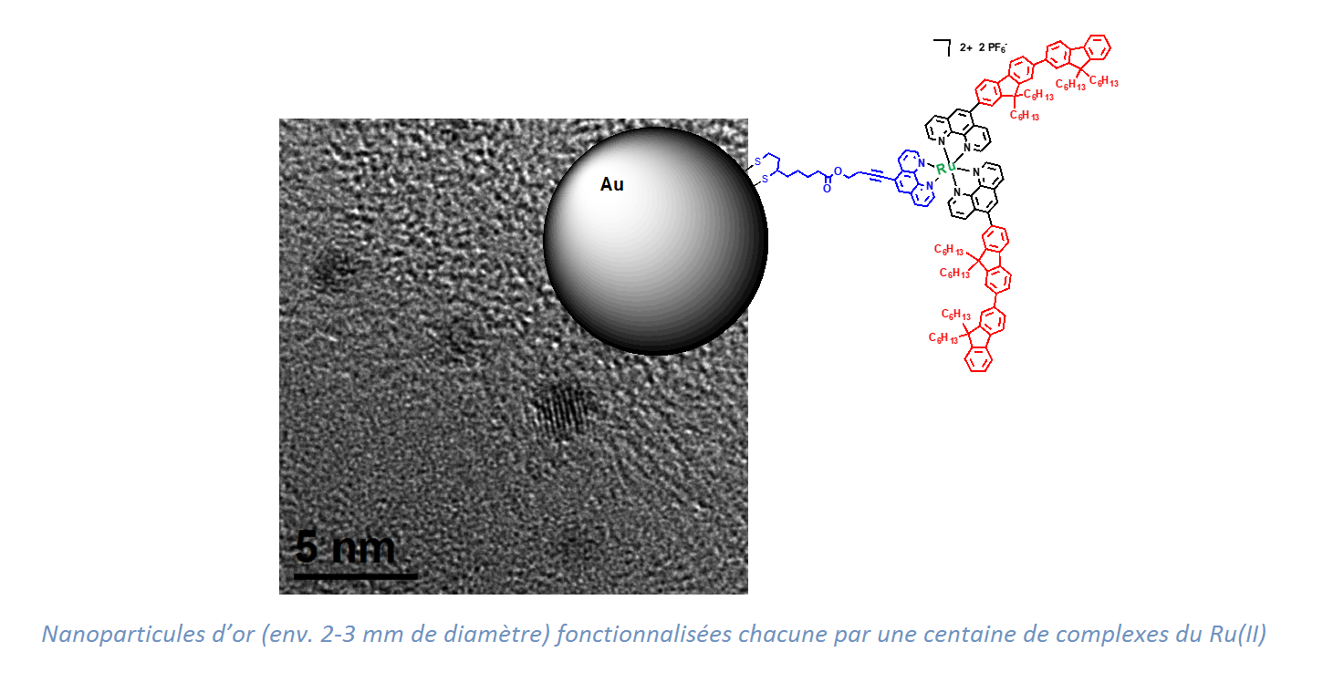 Nanoparticules d’or (env. 2-3 mm de diamètre) fonctionnalisées chacune par une c