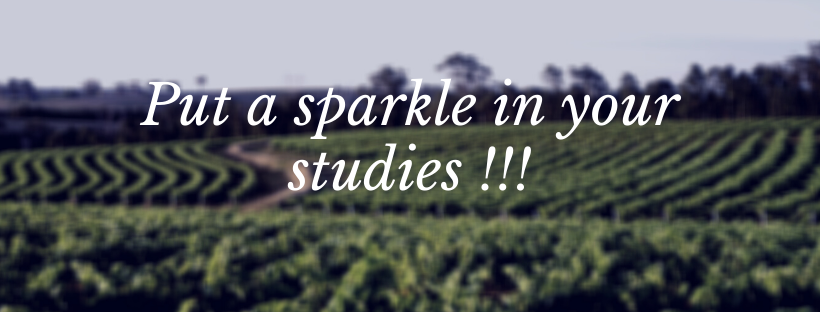 Logo Put a sparkle in your studies