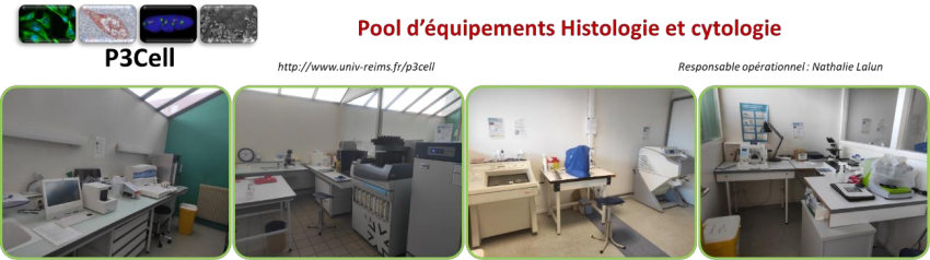 Pool d’équipements « Histologie et cytologie »