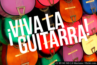Visuel Viva la guitarra