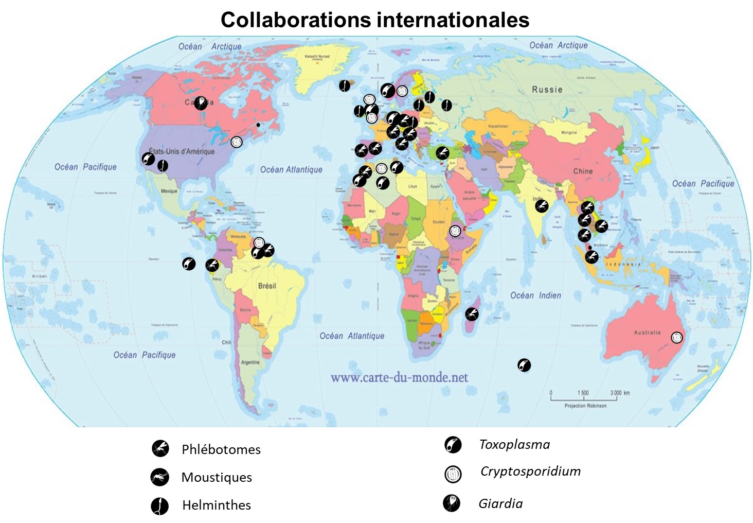Collaborations internationales