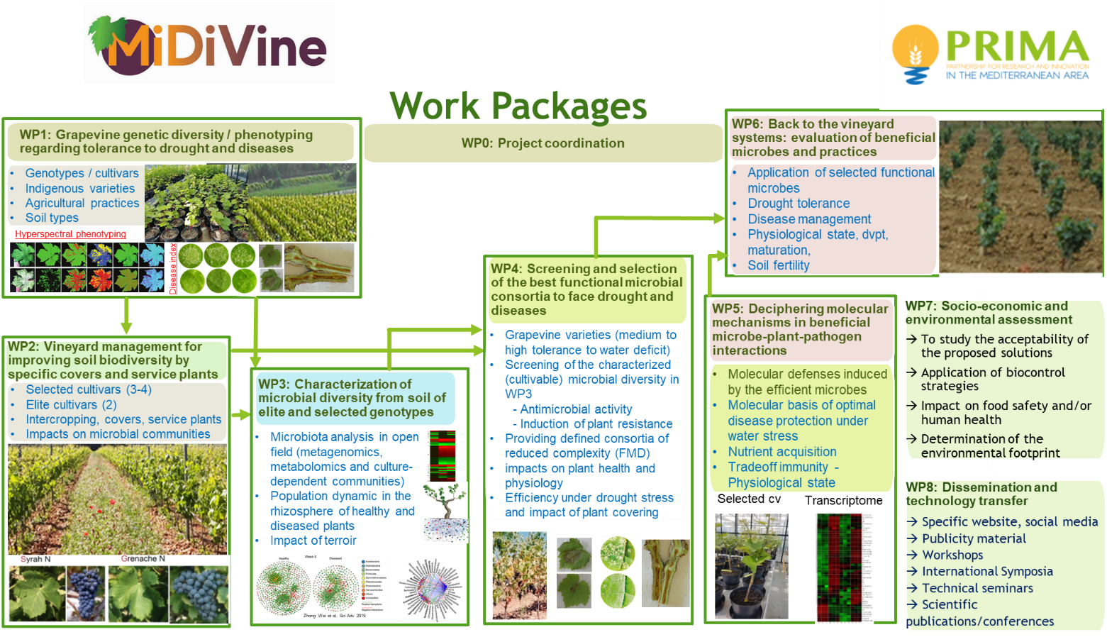 MiDiVine work pakages interdependencies 