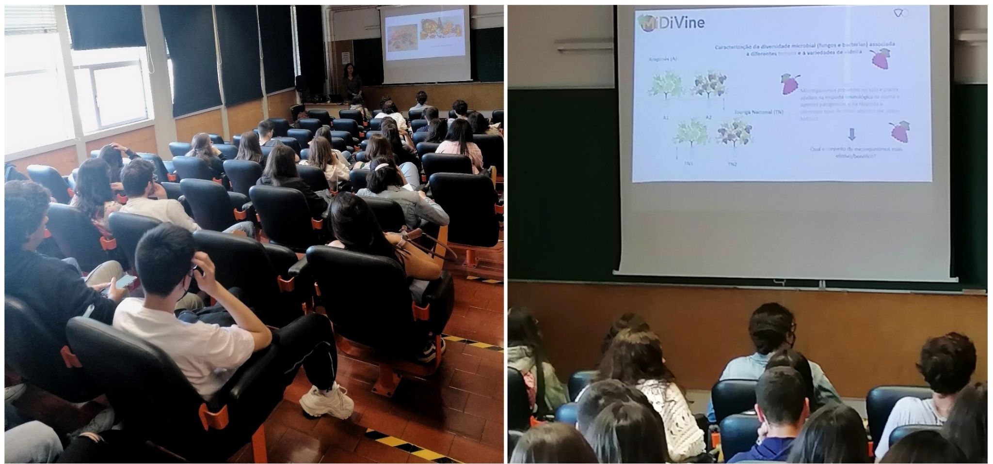  MiDiVine & Open days at Sciences faculty of Lisbon University