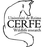 Logo CERFE