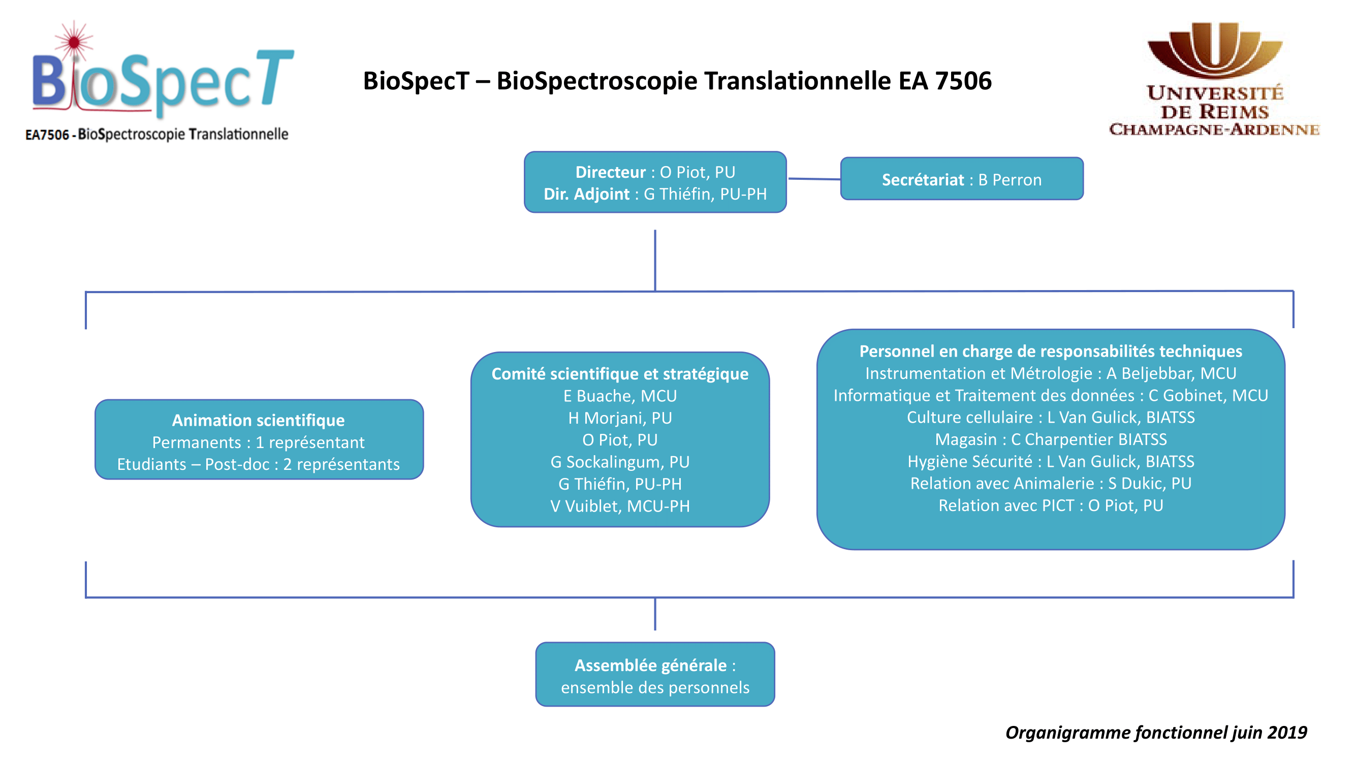 organigramme fonctionnel