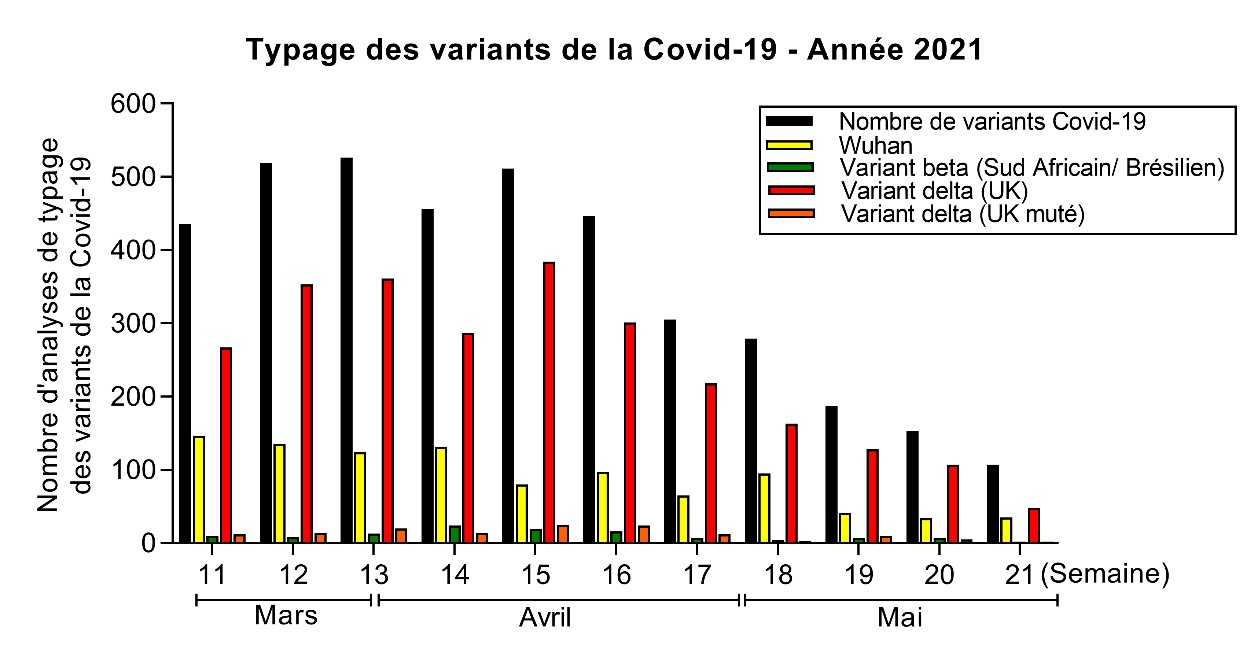 Typage des variants 2021