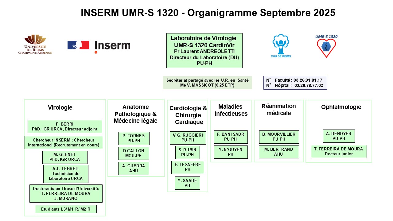 Organigramme CardioVir UMR-S 1320 Septembre 2025