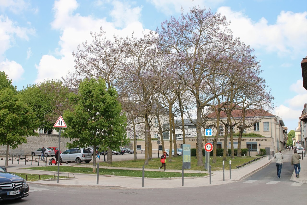 Campus des Comtes de Champagne Photo Philippe Pernet Balson