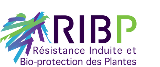 Logo RIBP