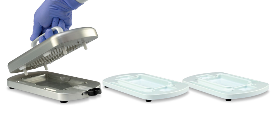 Scratch Wound Maker