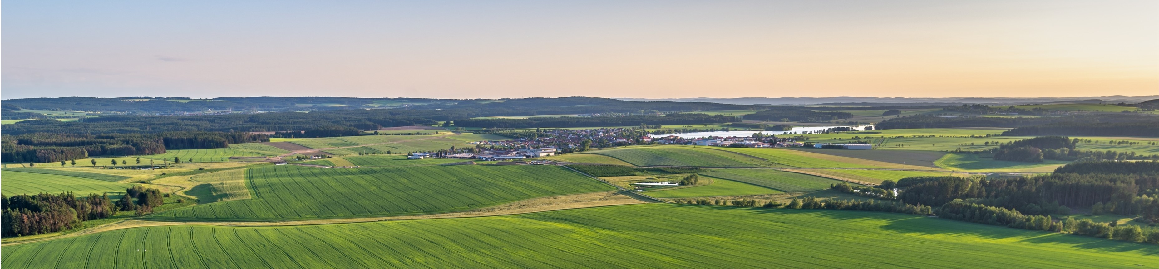 Conférence et table ronde "L'université de demain, au cœur des territoires"