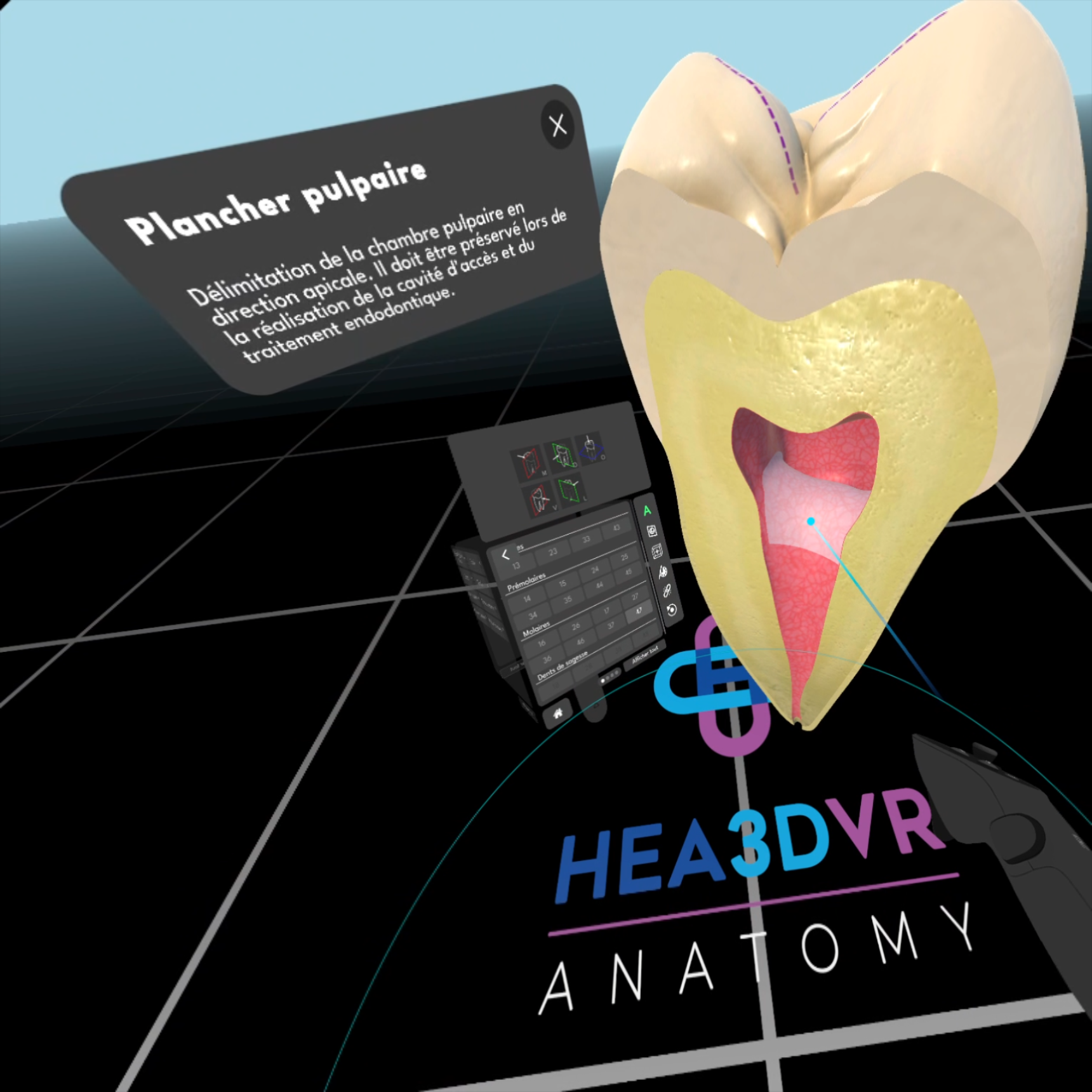 Apprentissage de l'anatomie dentaire en réalite virtuelle à l'UFR odontologie avec le projet DeMETeRE