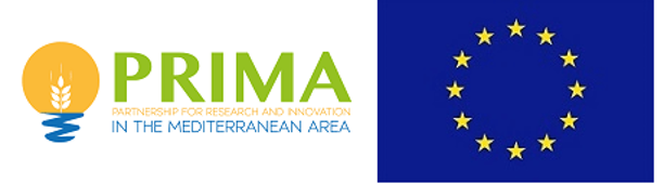 prima Logo europe