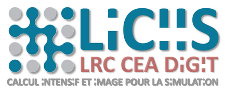 Logo liciid