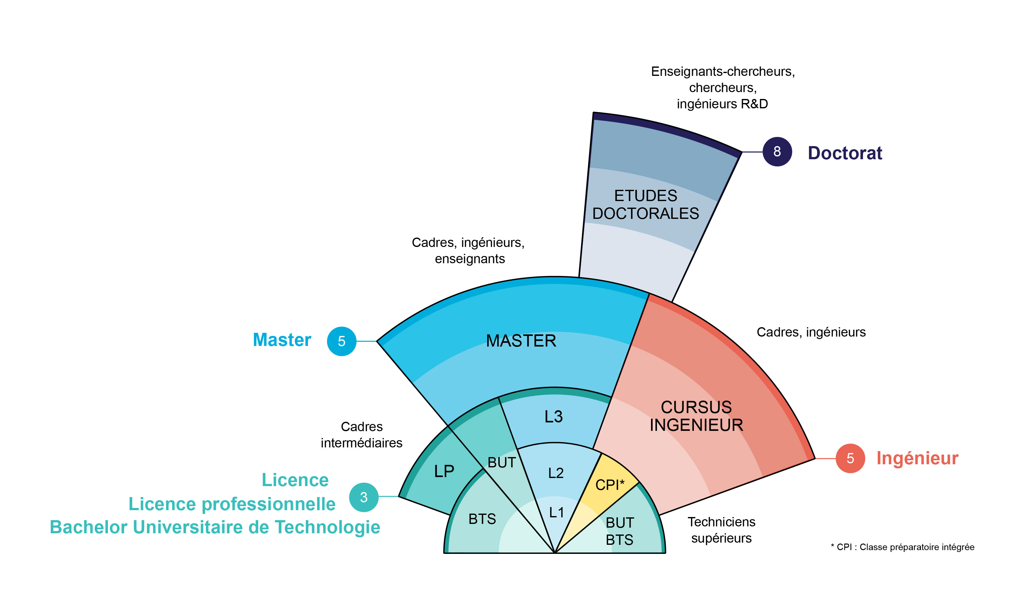 schéma des études