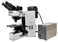 Microscope OLYMPUS BX60