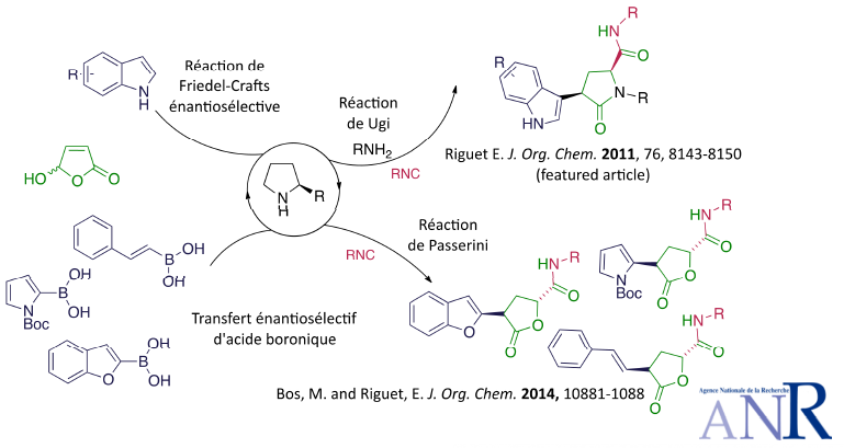 Réactions multicomposantes et catalyse asymétrique organique.