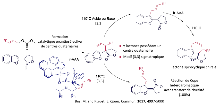 Réactions d’alkylations allyliques et réactions sigmatropiques