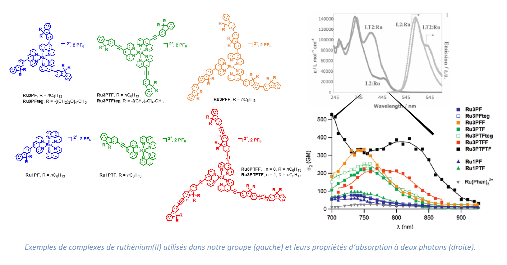  Exemples de complexes de ruthénium(II) utilisés dans notre groupe (gauche) et l