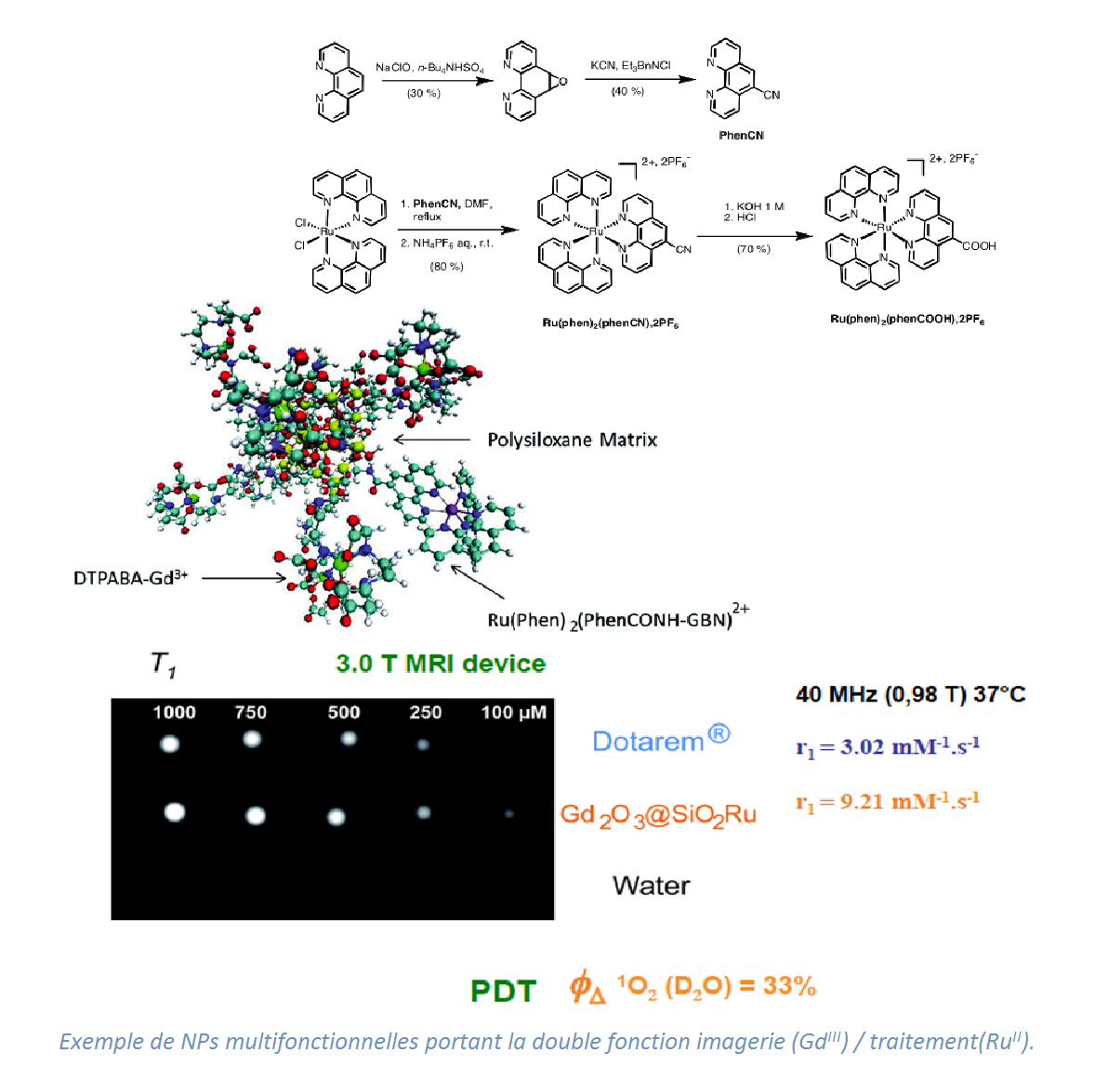 Exemple de NPs multifonctionnelles portant la double fonction imagerie (GdIII) /