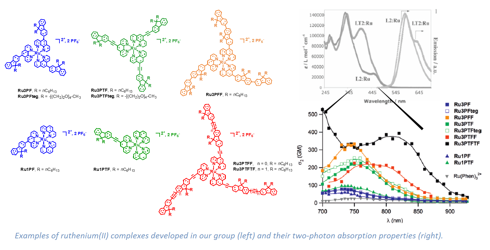 Examples of ruthenium(II) complexes developed in our group (left) and their two-