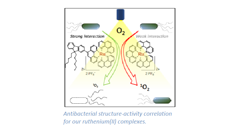 Antibacterial structure-activity correlation for our ruthenium(II) complexes