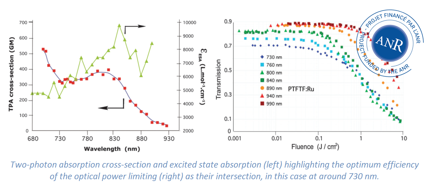 Two-photon absorption cross-section and excited state absorption (left) highligh