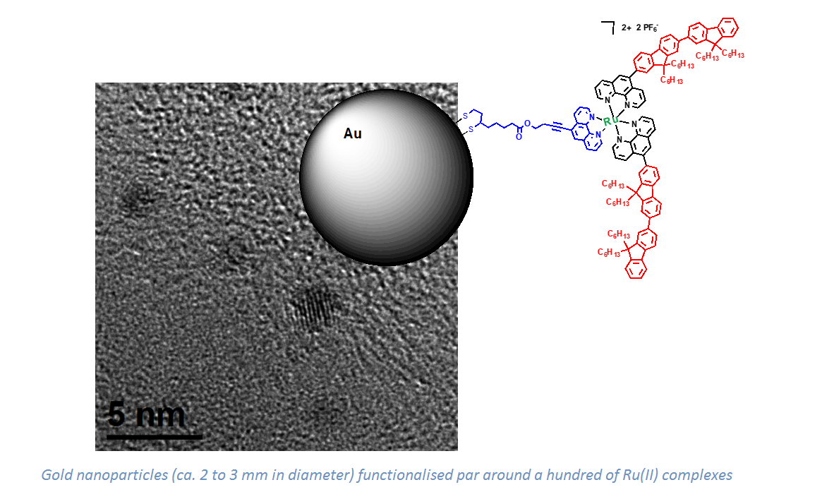 Gold nanoparticles (ca. 2 to 3 mm in diameter) functionalised par around a hundr