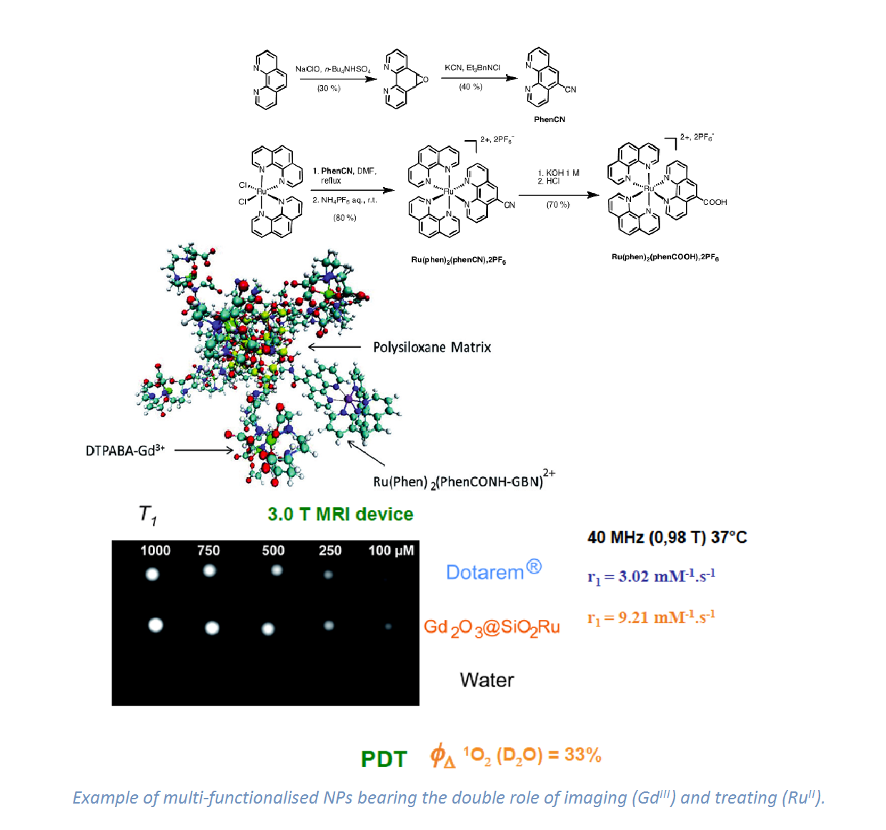 Example of multi-functionalised NPs bearing the double role of imaging (GdIII) a