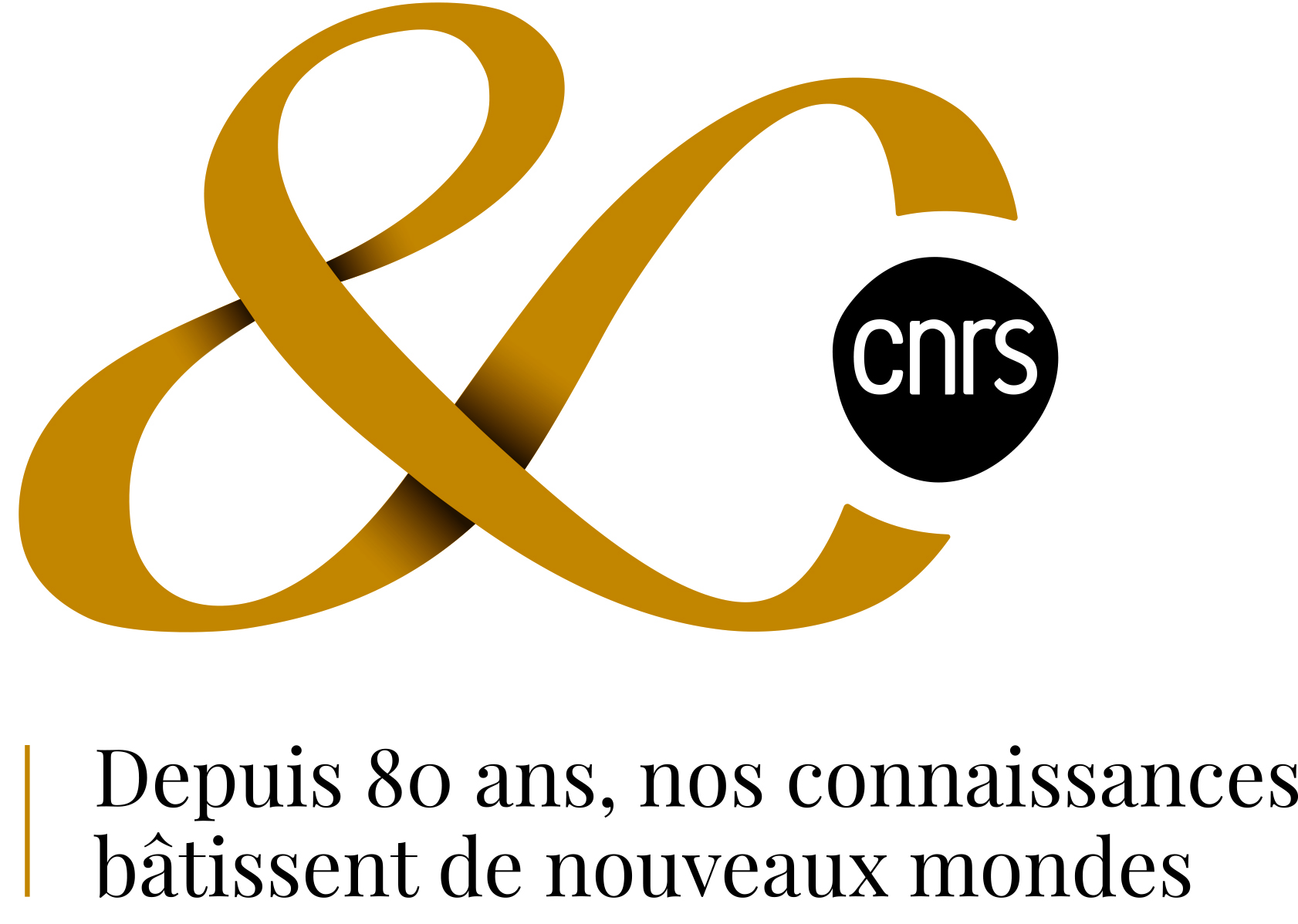 Logo 80 ans CNRS