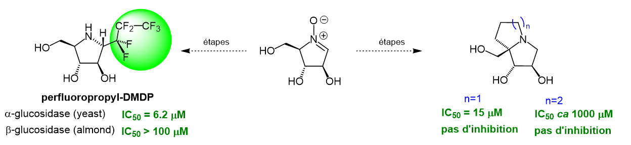 Etude et inhibition de glycoenzymes