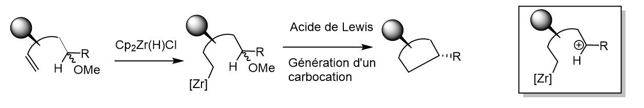 Synthèse stéréosélective de carbocycles et d’hétérocycles azotés