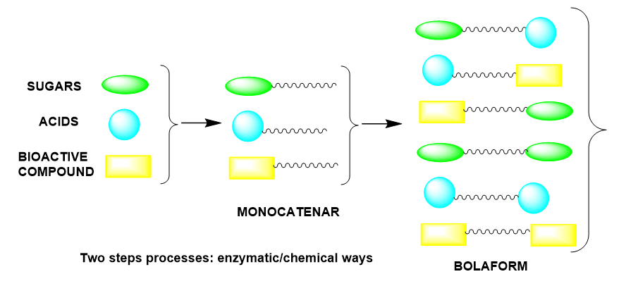 Synthèse et caractérisation de tensioactifs verts