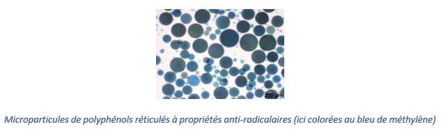 microparticules de polyphénols