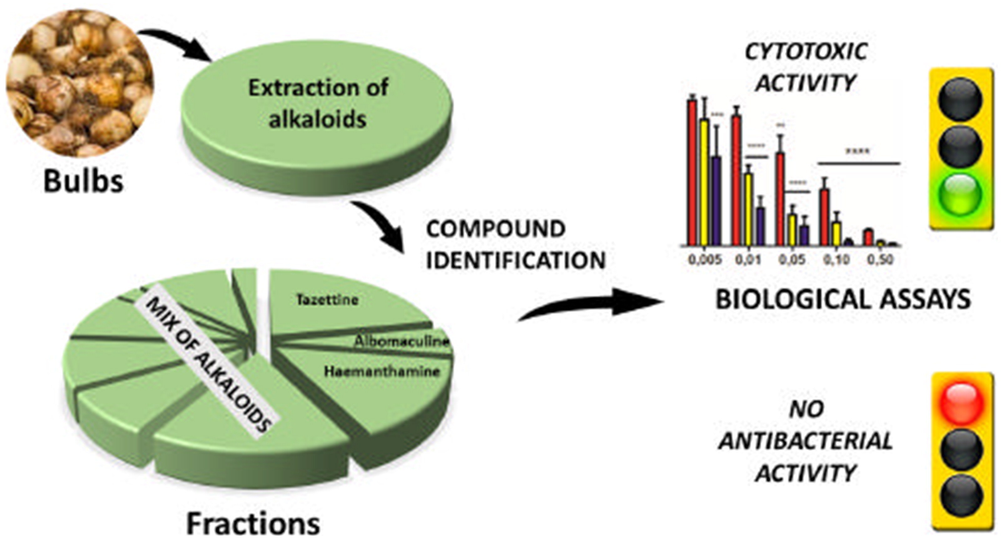 Graphical Abstract