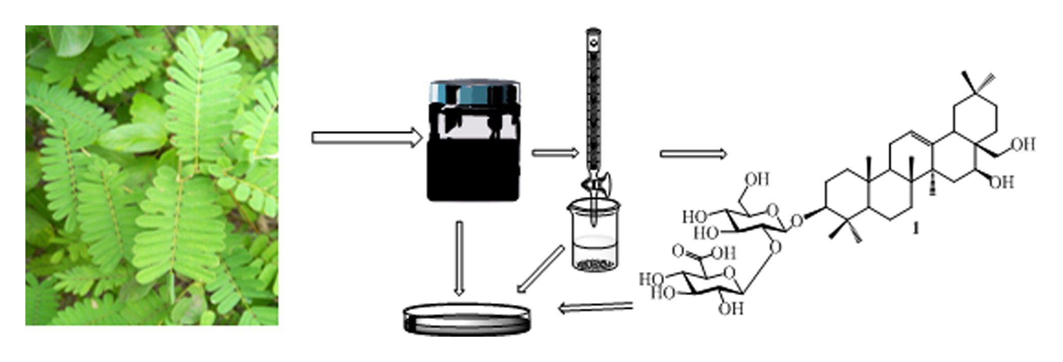 Graphical Abstract