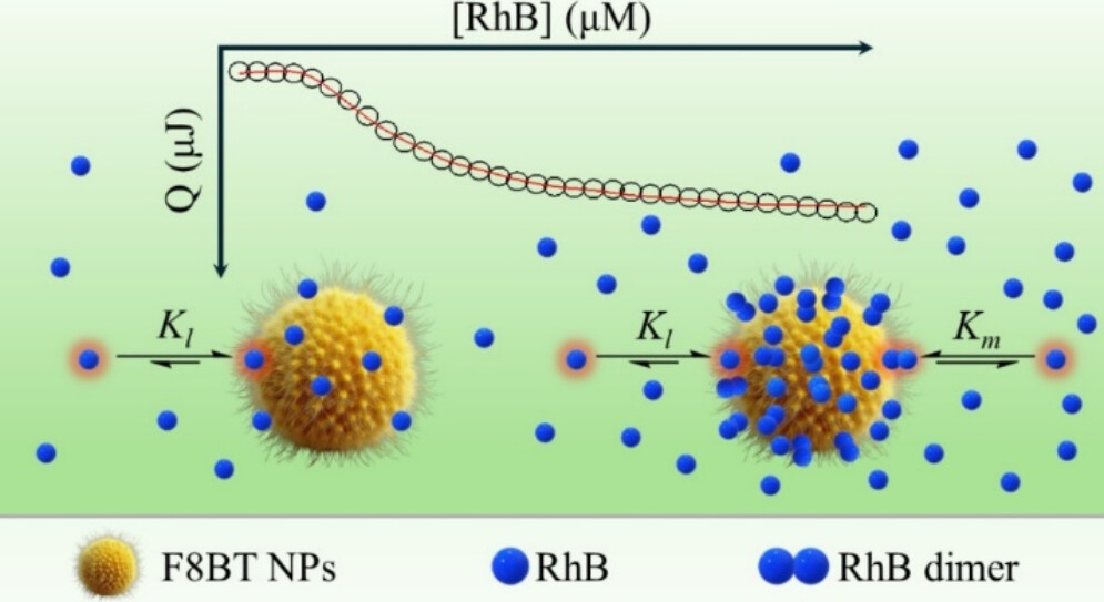 Graphical Abstract