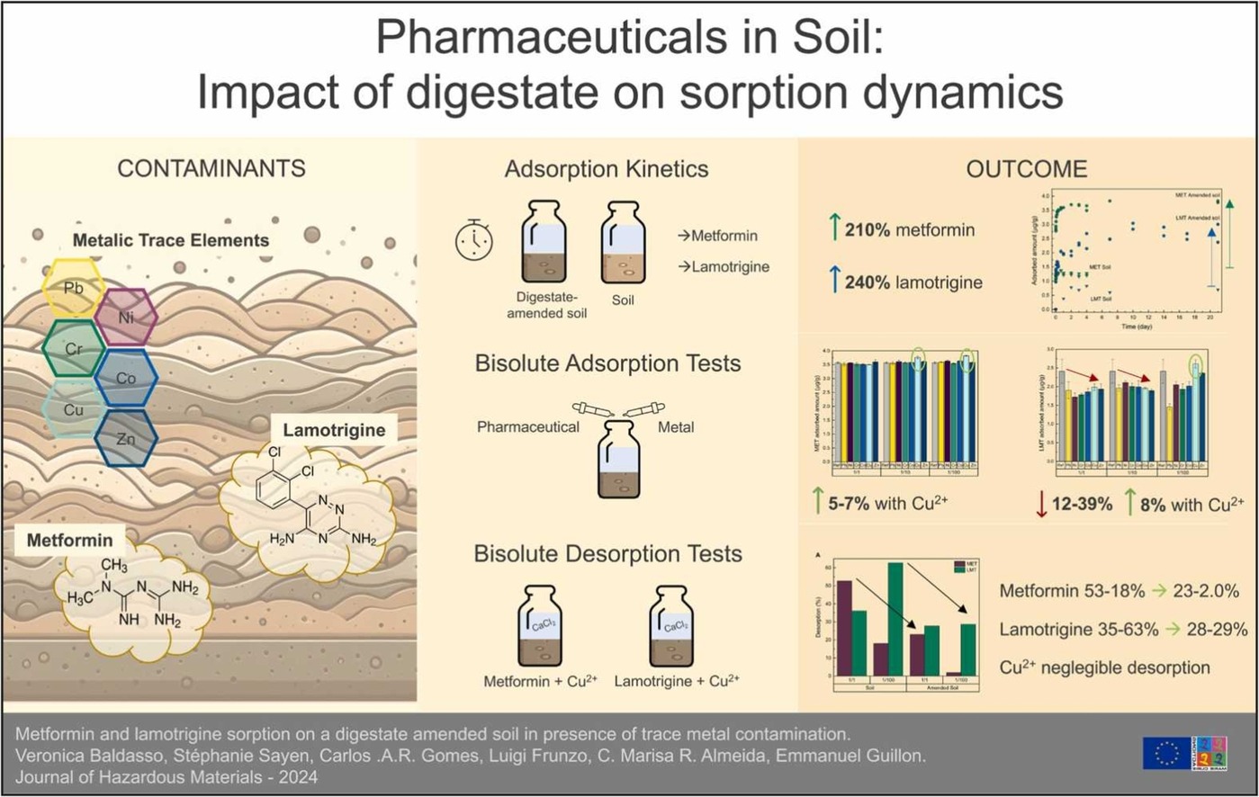 Graphical Abstract