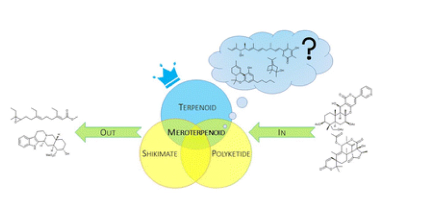 Graphical Abstract