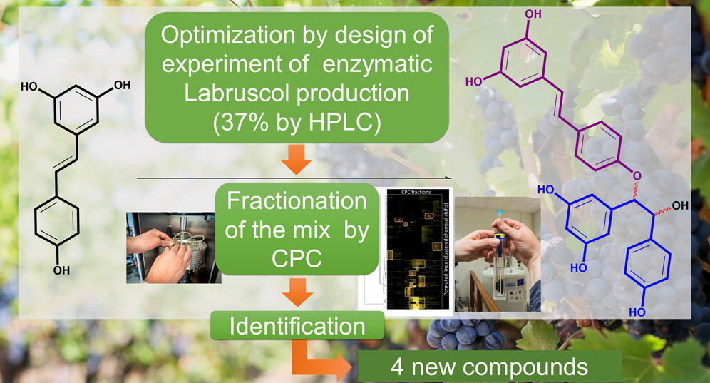 Graphical Abstract