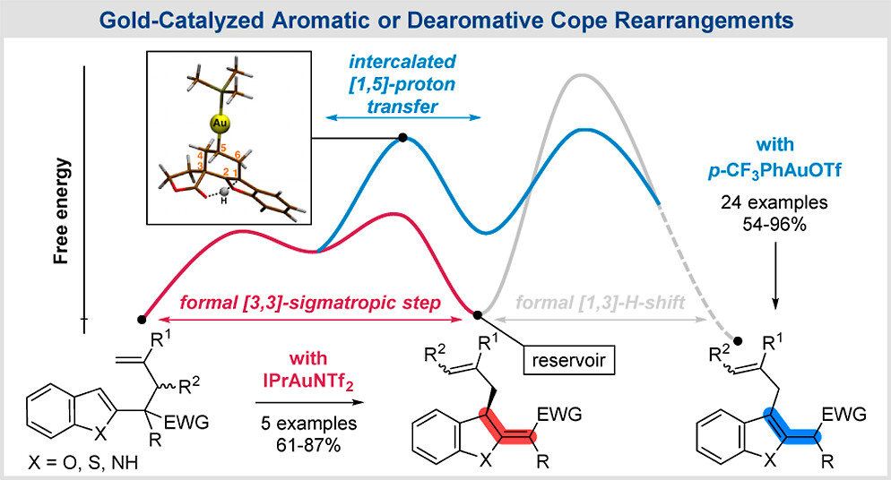 Graphical Abstract