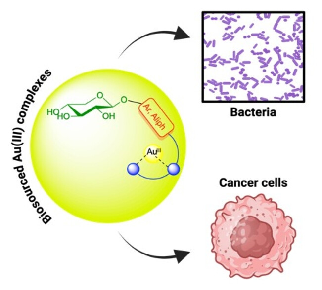 Graphical Abstract