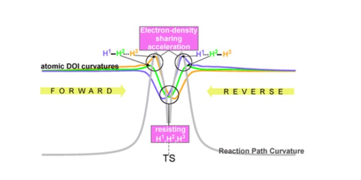 Graphical Abstract