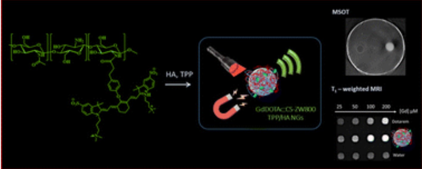 Graphical Abstract