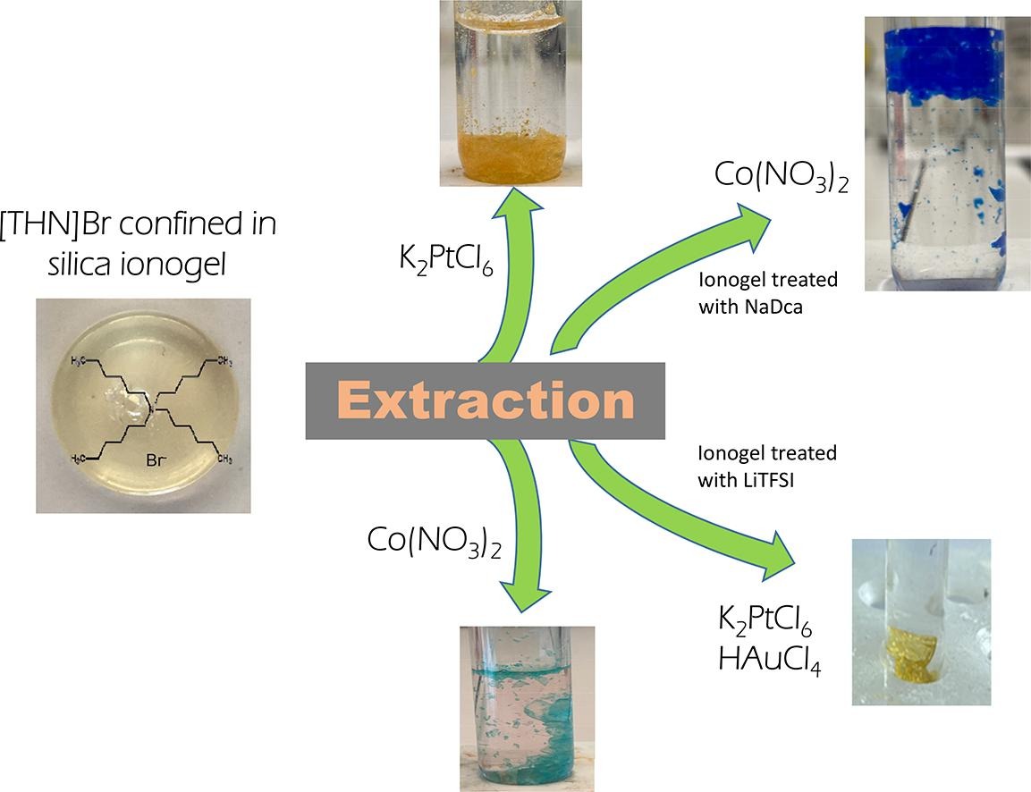 Graphical Abstract