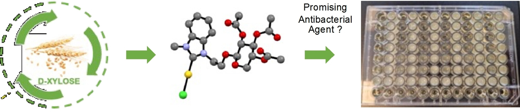 Graphical Abstract