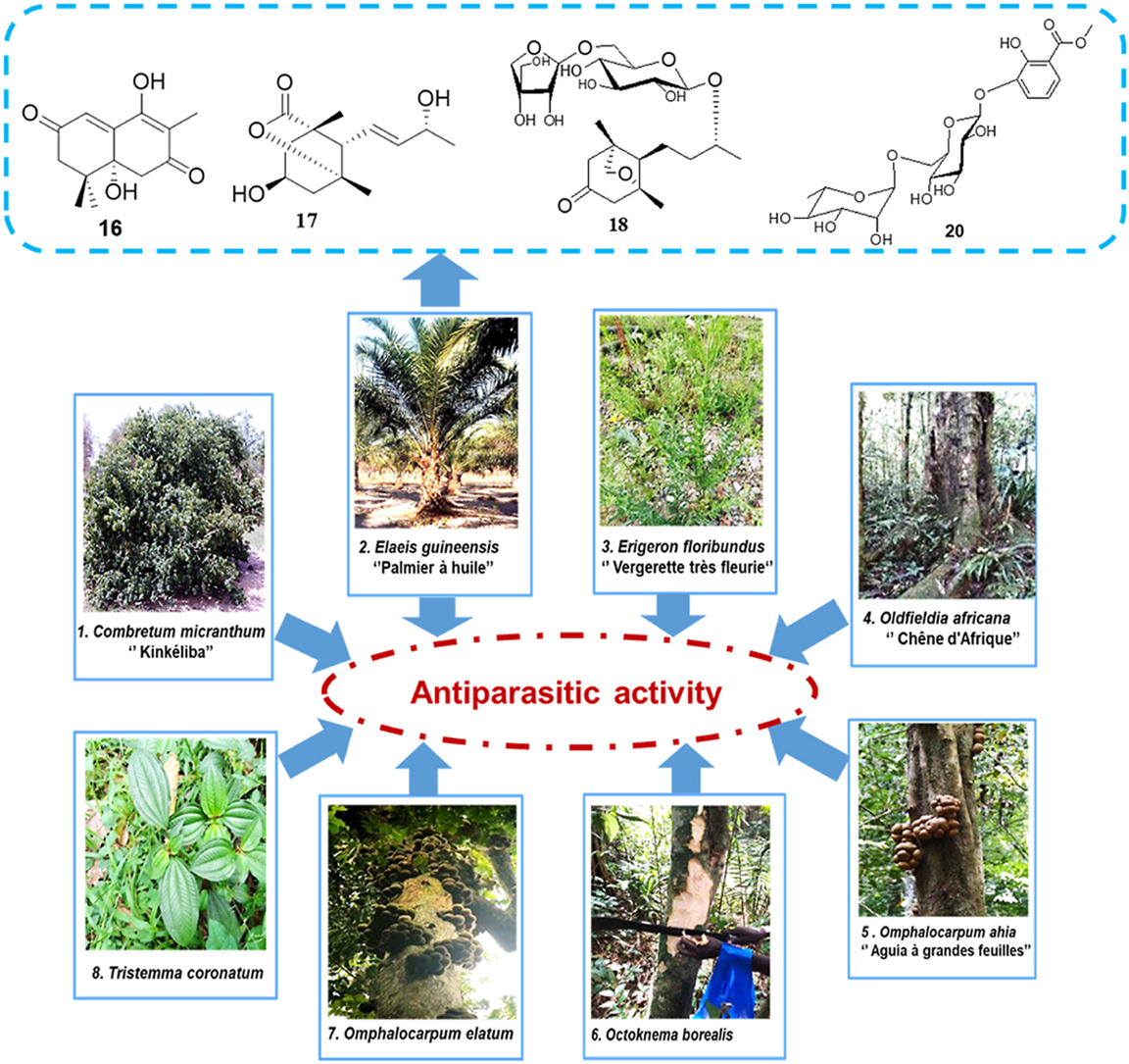 Graphical Abstract