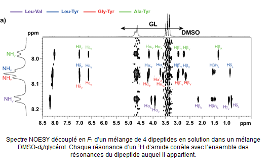 Spectre NOESY découplé en F1 d’un mélange de 4 dipeptides en solution 