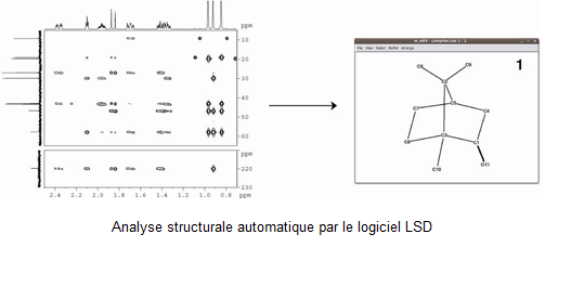Analyse structurale automatique par le logiciel LSD