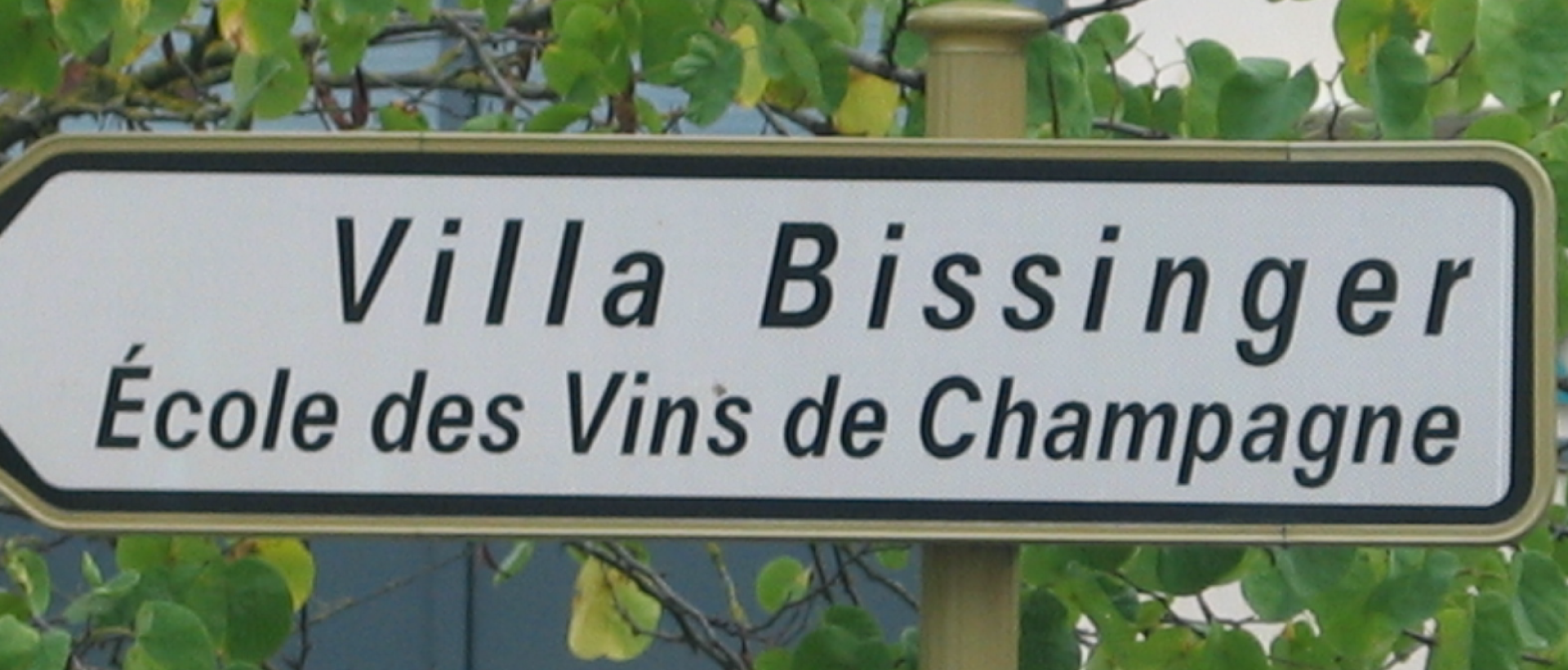 villa bissinger